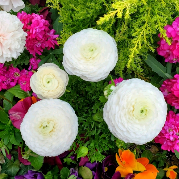 Welcome To My Closet - Picture 13 of 16